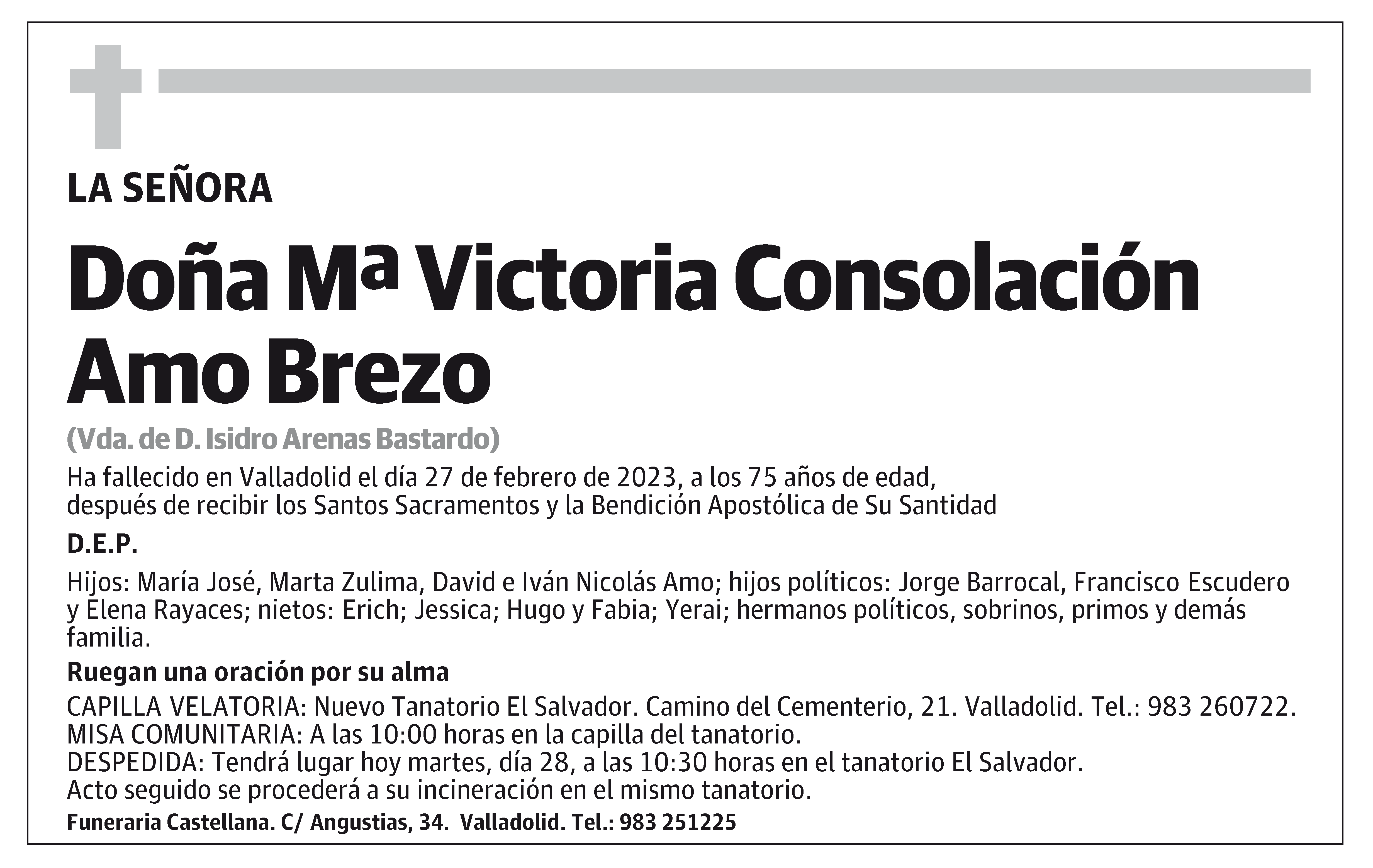 Mª Victoria Consolación Amo Brezo
