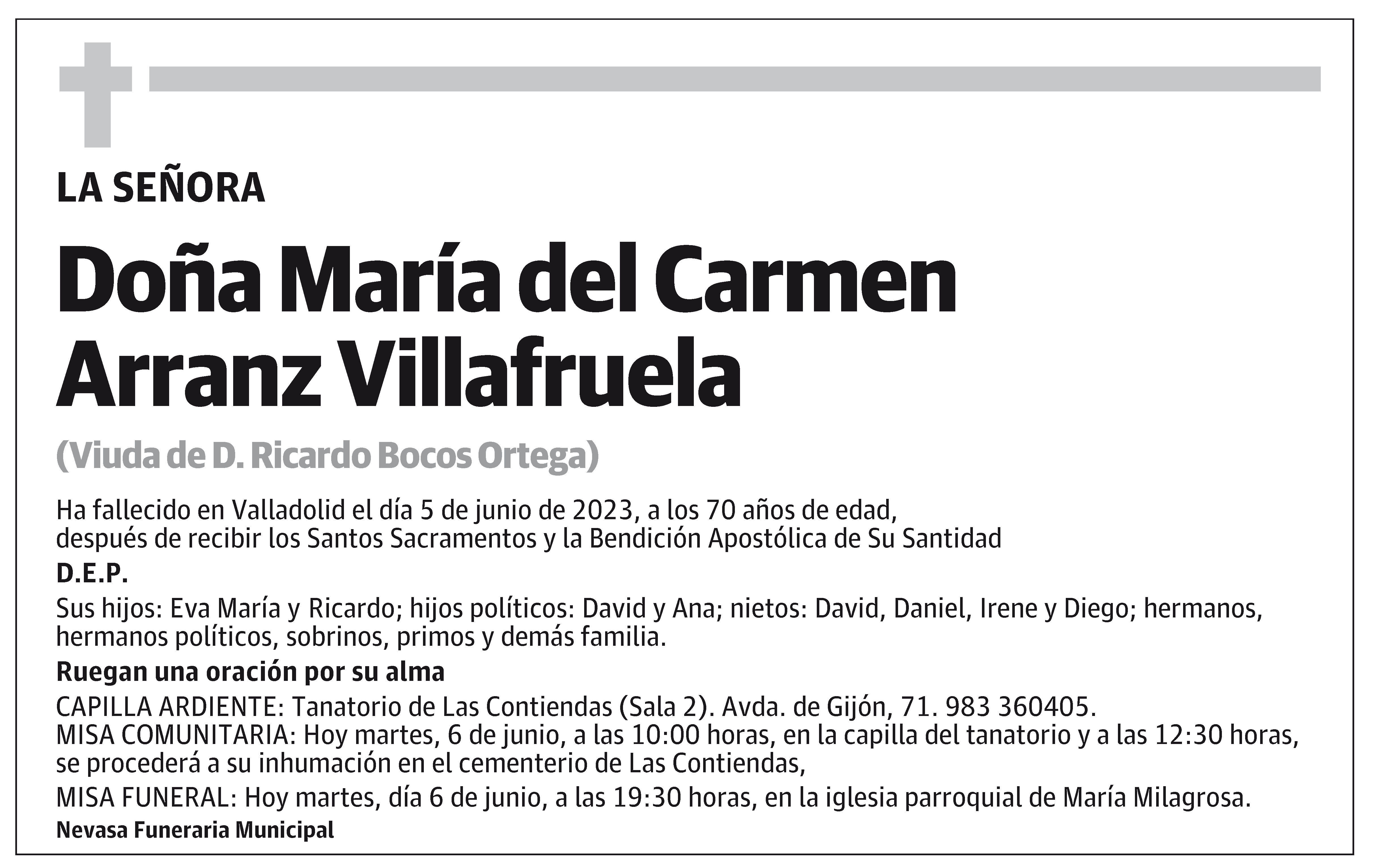 María del Carmen Arranz Villafruela