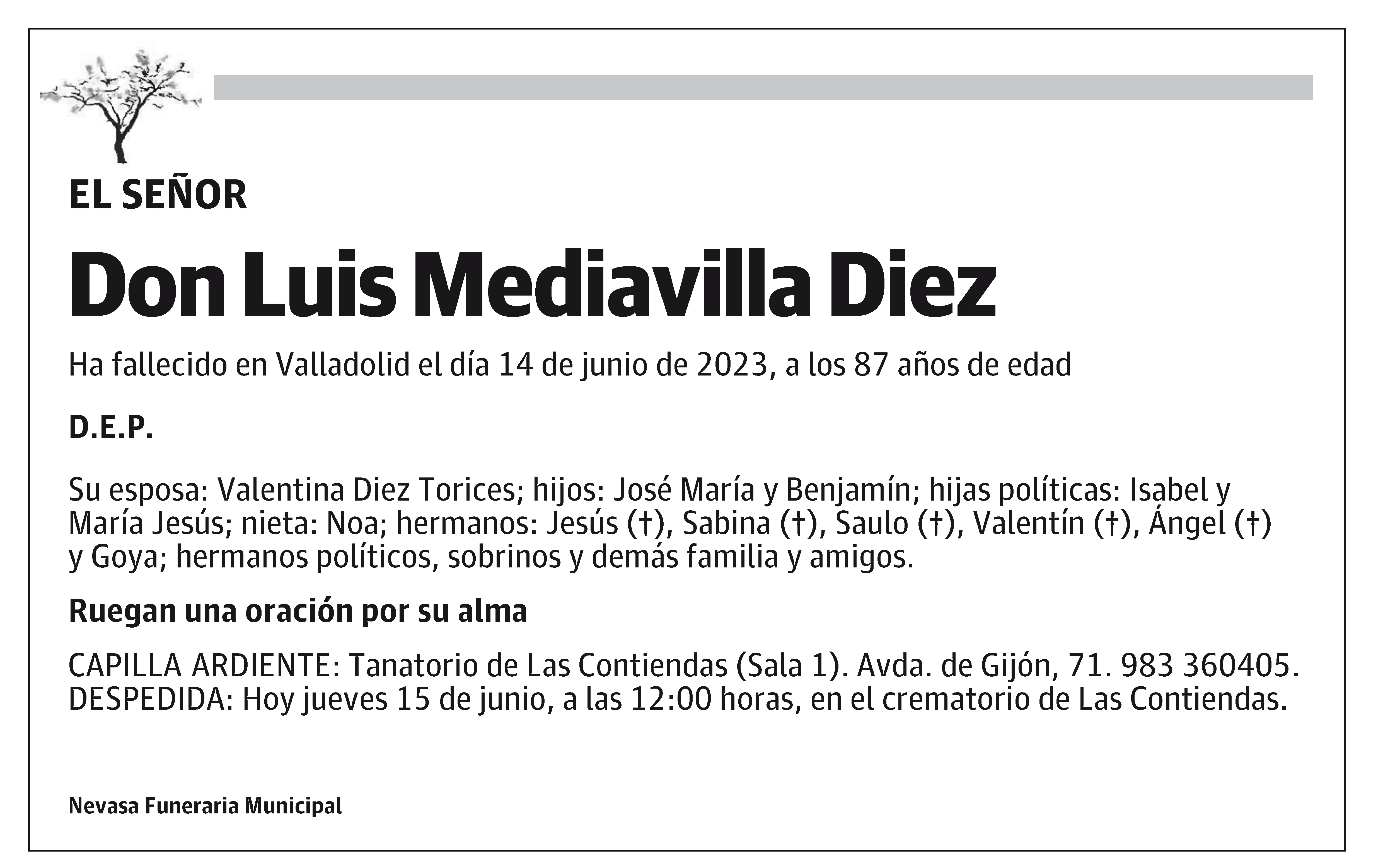 Luis Mediavilla Diez