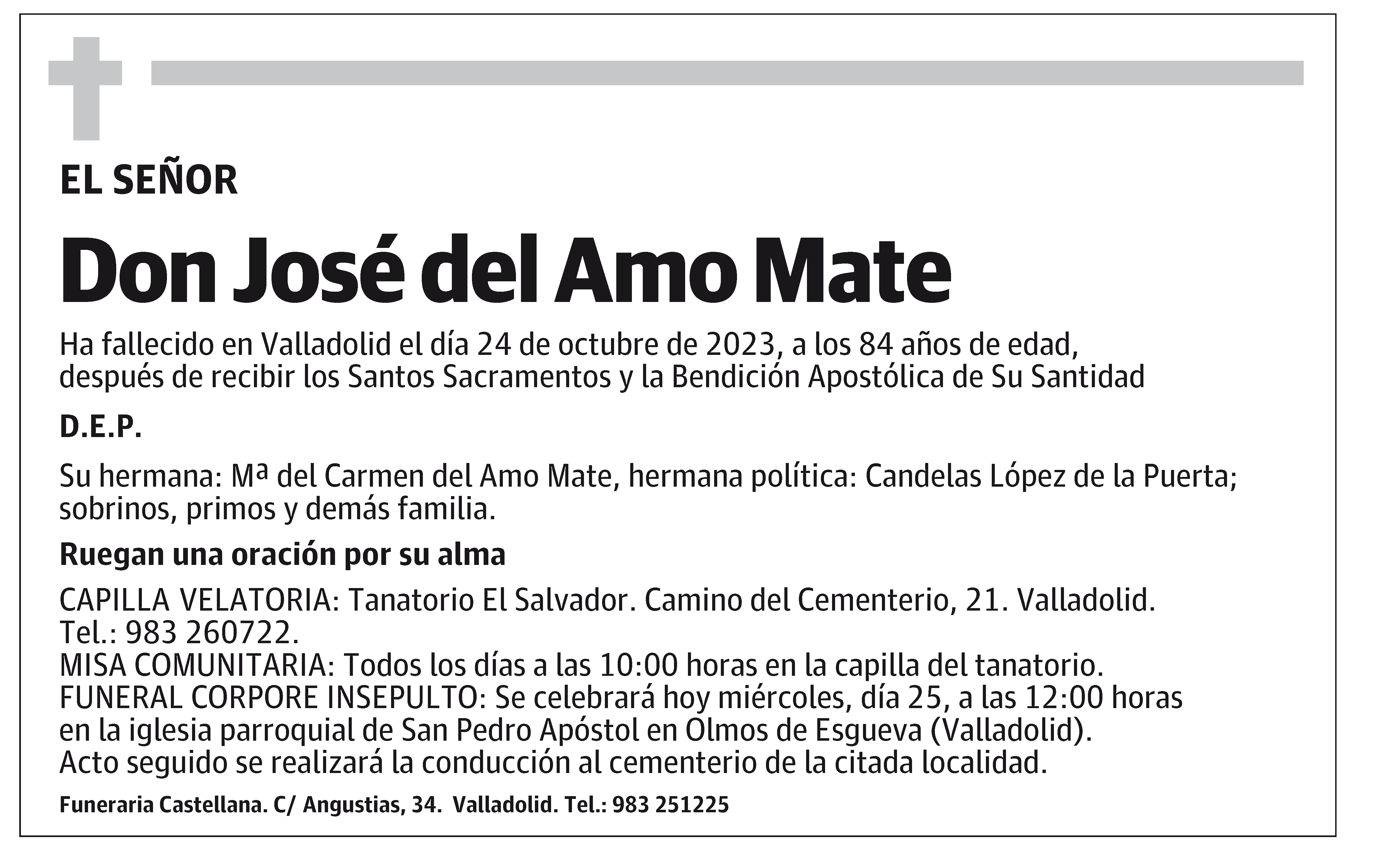 José del Amo Mate