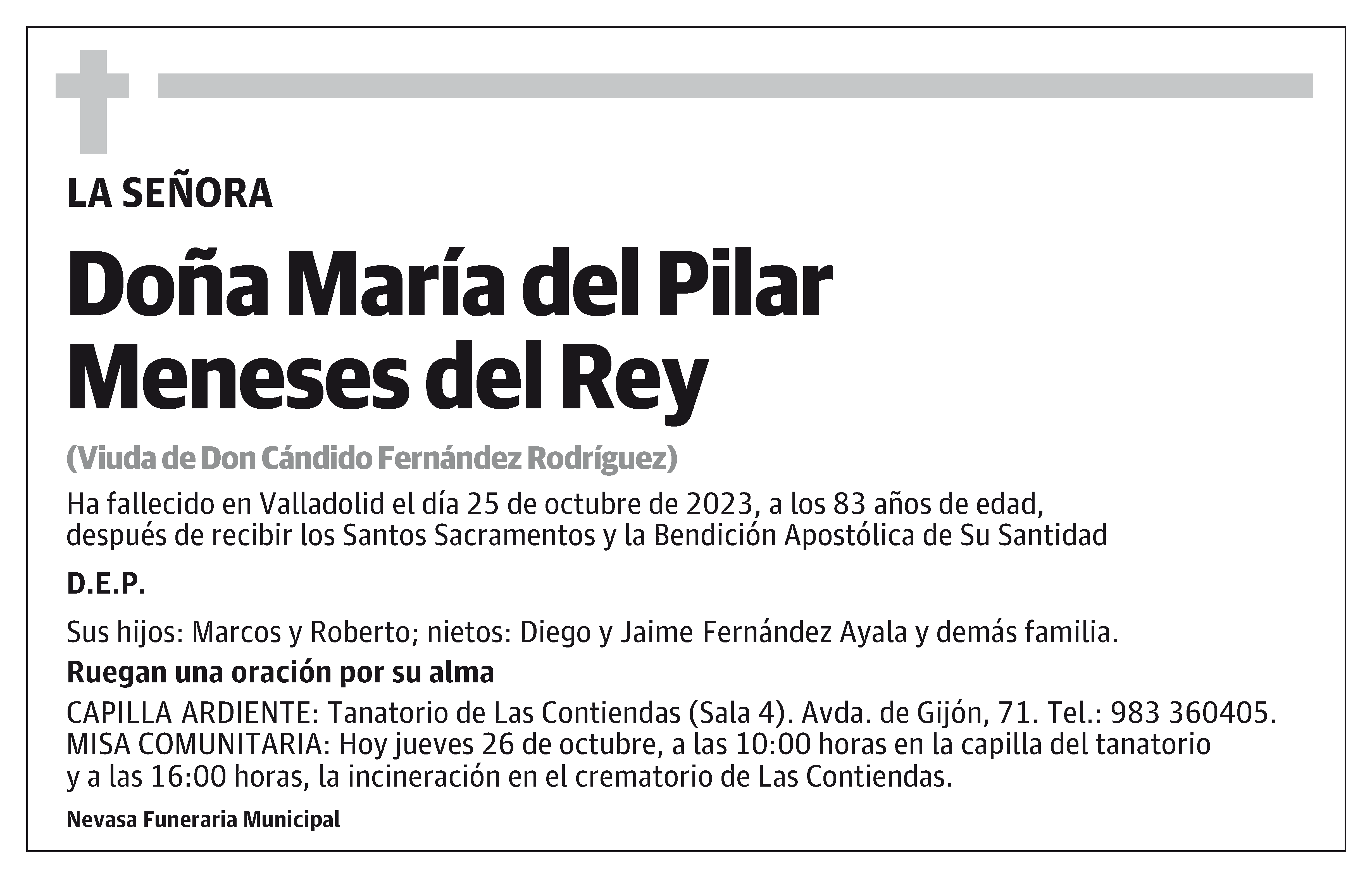 María del Pilar Meneses del Rey