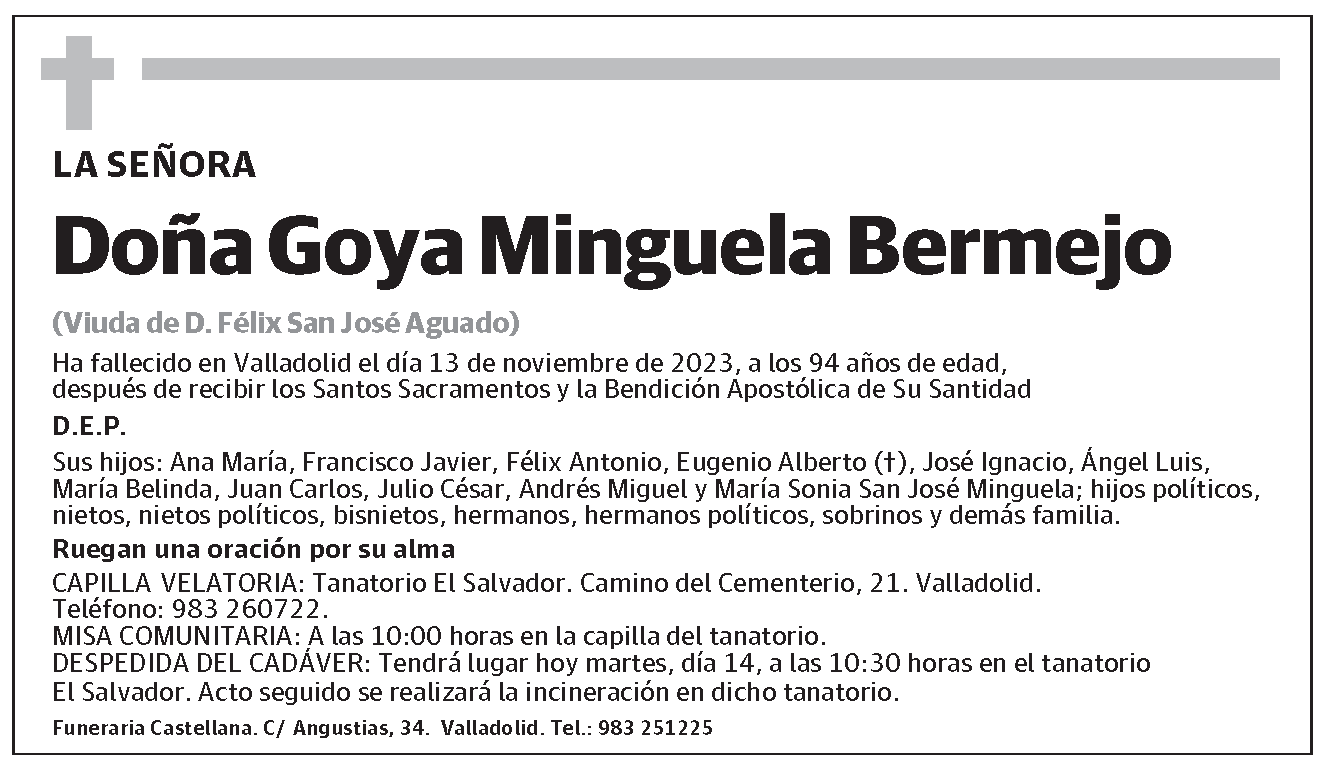 Goya Minguela Bermejo