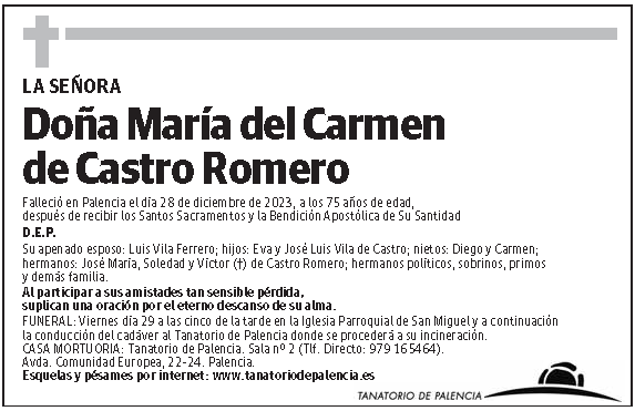 María del Carmen de Castro Romero