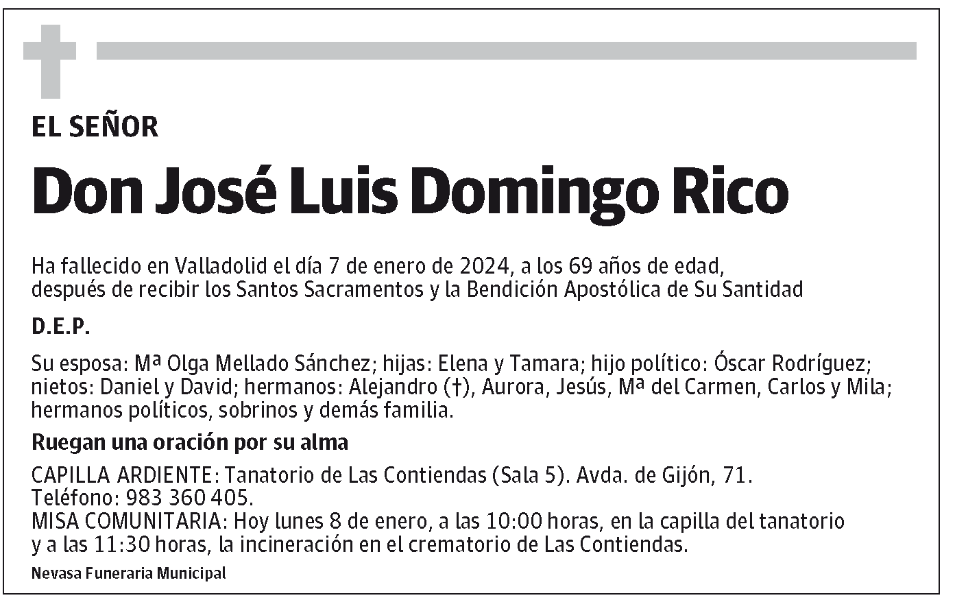 José Luis Domingo Rico