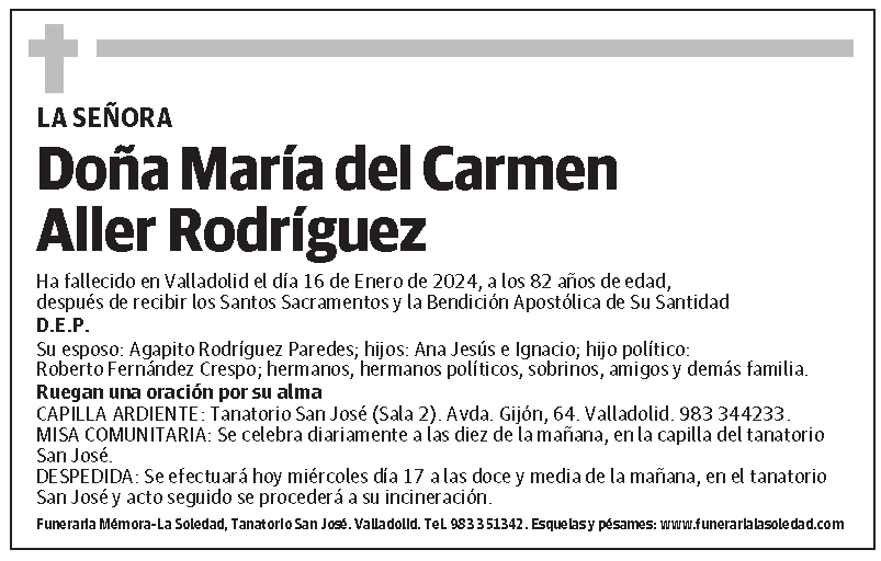 María del Carmen Aller Rodríguez