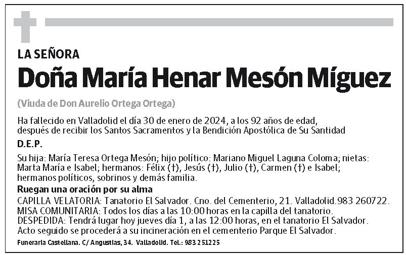 María Henar Mesón Míguez