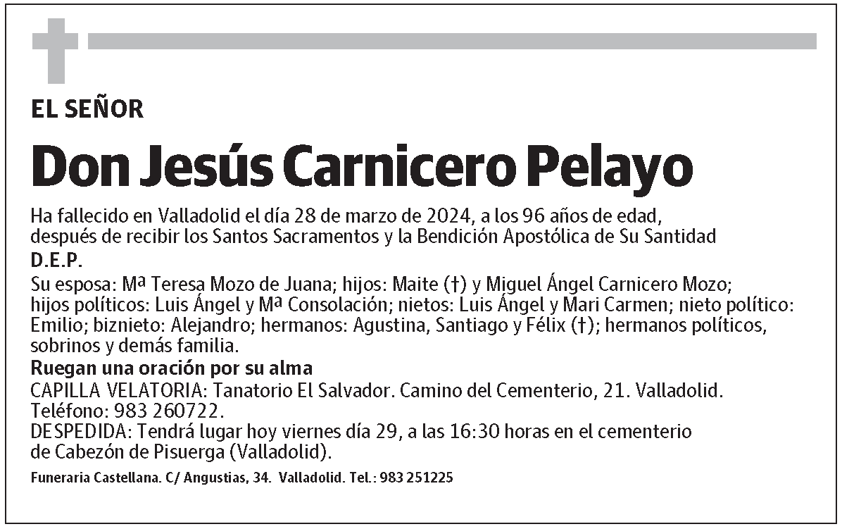 Jesús Carnicero Pelayo