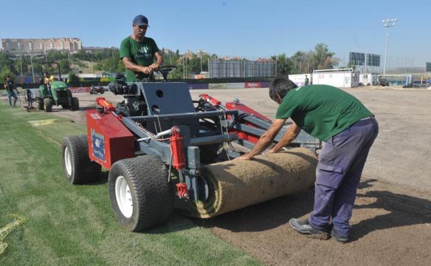 Los Anexos recuperan el césped