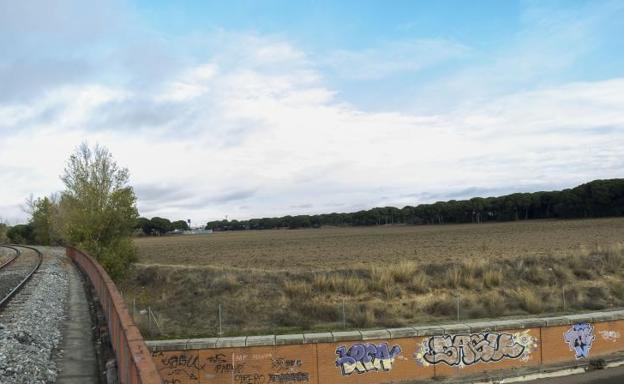 El Ayuntamiento ofrece al Real Valladolid una parcela en el Pinar de Jalón para construir la ciudad deportiva