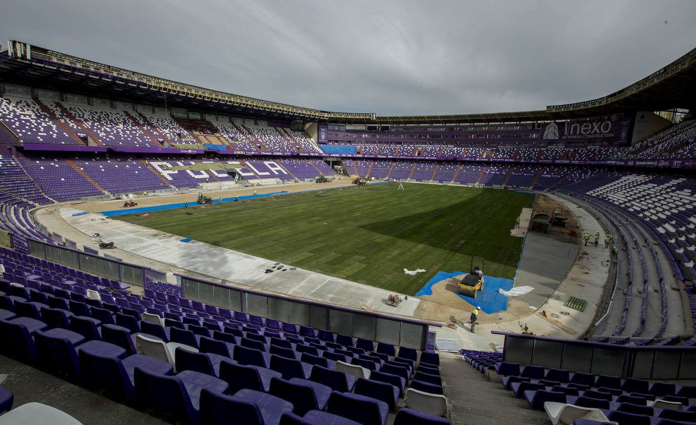 Así están las obras del Nuevo Estadio José Zorrilla