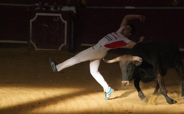El castellonense Poca triunfa en el Concurso de Cortes de La Flecha