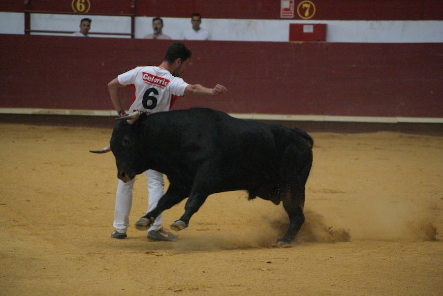 Concurso de cortes de La Flecha (1/2)