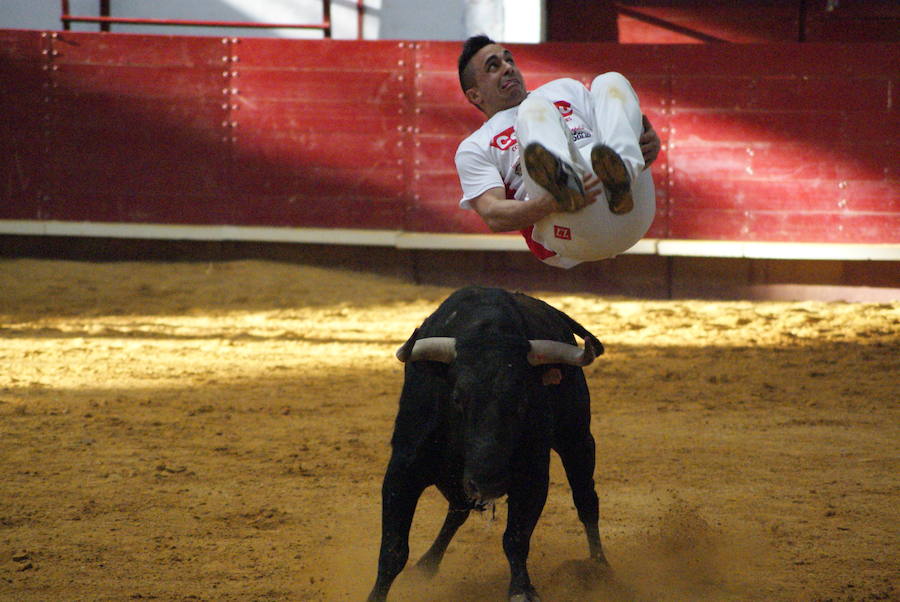 Diez festejos taurinos y uno de caballos