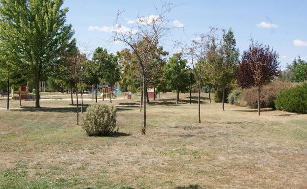 Arroyo solicita captar agua de riego para salvar los jardines del estado de sequía