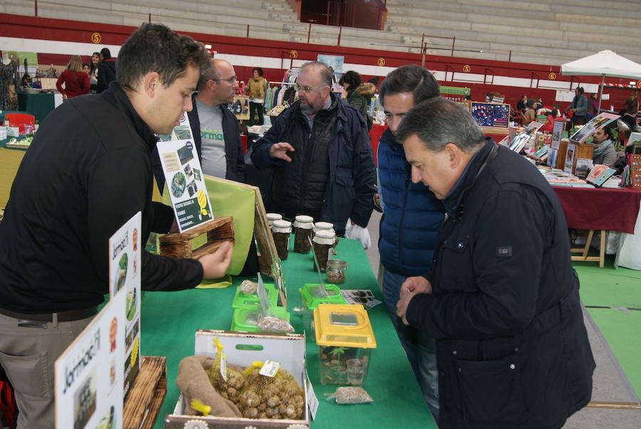 Mercado de Arroyo prenavideño en diciembre