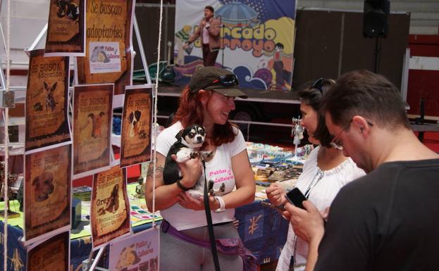 Tito Valera será el artista invitado este domingo en El Mercado de Arroyo