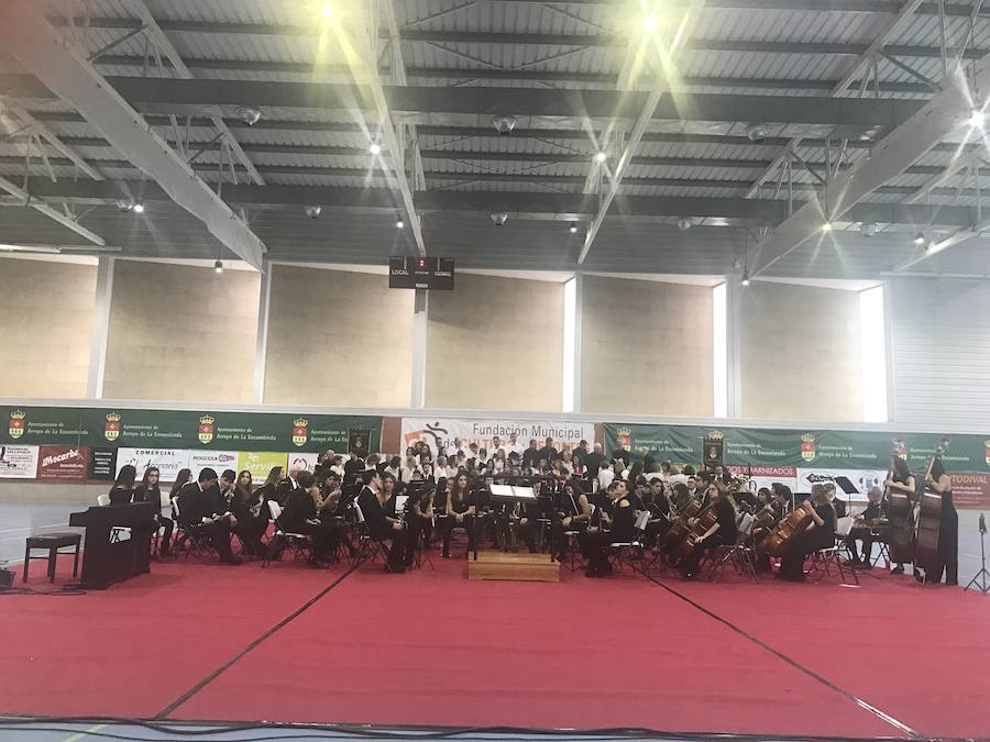 Conciertos de Santa Cecilia en Arroyo