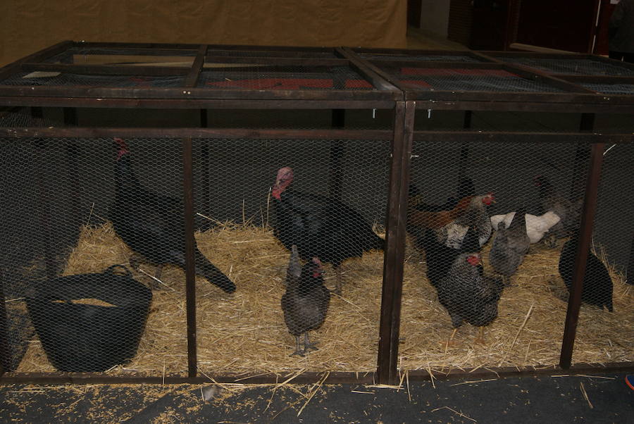 Belén solidario ADECYL y Mercado de Arroyo diciembre