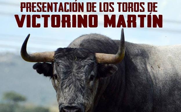 Presentación de los toros de Victorino Martín que se lidiarán en La Flecha el día 23