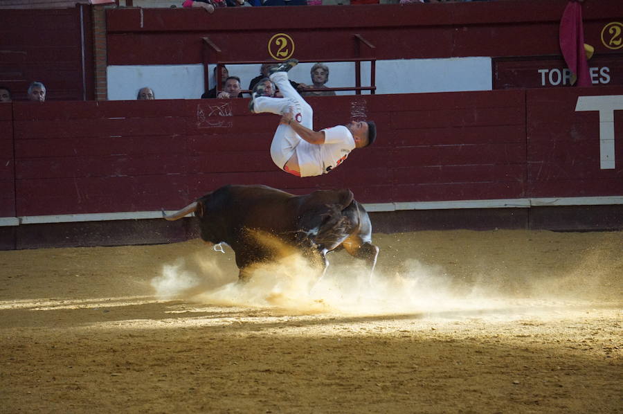 Concurso de Cortes de La Flecha