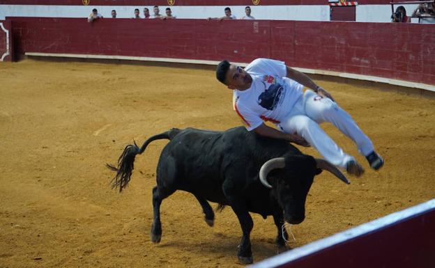 Cristian Peñas se impone a Eusebio Sacristán en el Concurso de Cortes de La Flecha