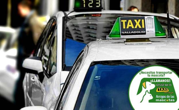 El TSJ dice a los taxistas de Arroyo que su adhesión a la capital «es voluntaria»