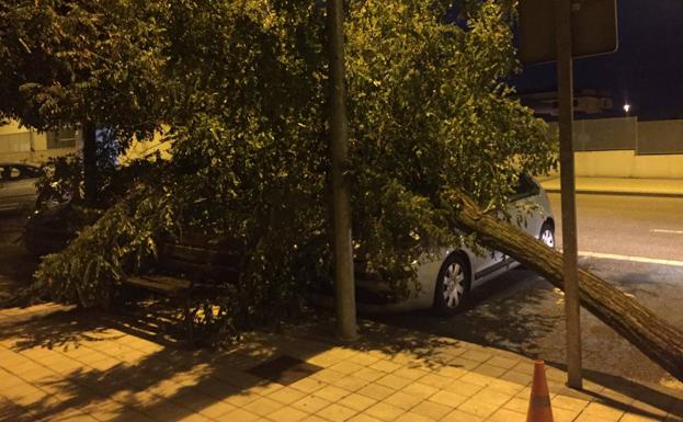 Sótanos inundados y un árbol caído sobre la calzada incidentes reseñables tras la tormenta sobre Arroyo