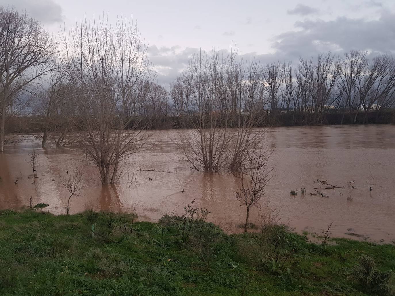 Las consecuencias del temporal a su paso por Arroyo