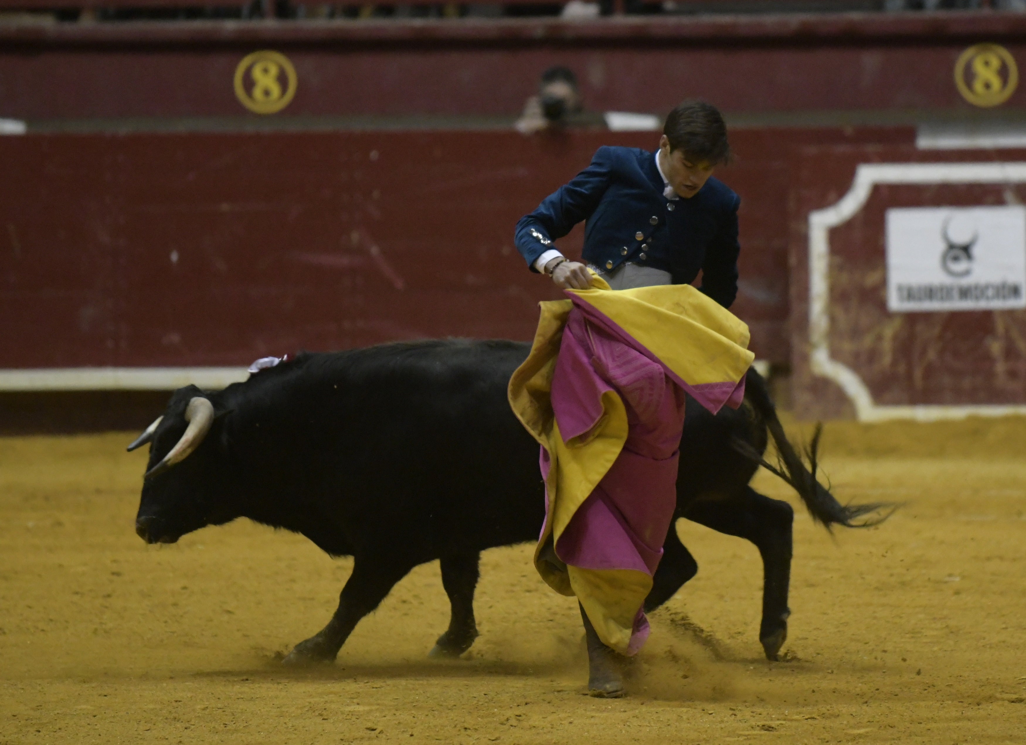 La corrida de toros de Arroyo, en imágenes