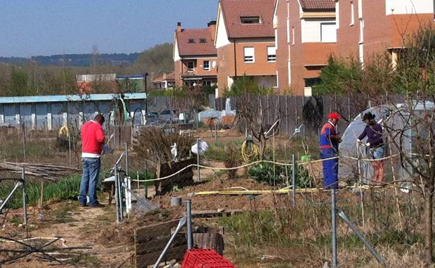 El Ayuntamiento de Arroyo abre los huertos urbanos