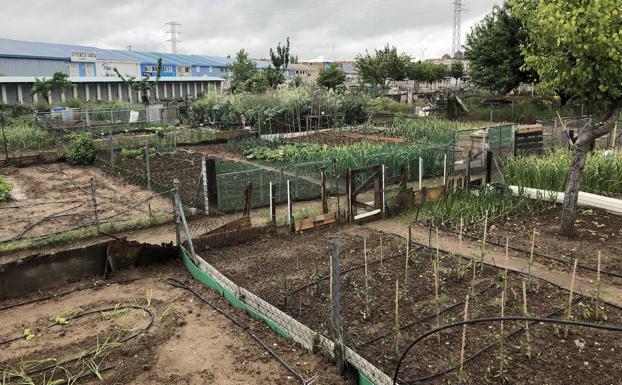 El Ayuntamiento de Arroyo procederá al sorteo de parcelas en los huertos urbanos