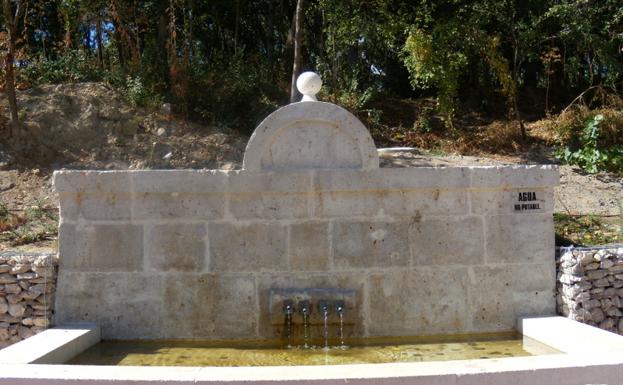 Denunciados en Arroyo por infringir la ley de caza y saltarse el estado de alarma