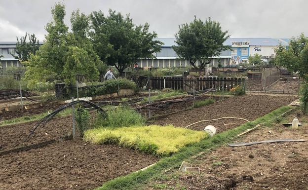 Arroyo amplía el horario de apertura de los huertos urbanos hasta las 21:00 horas