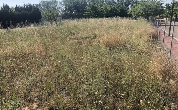 Bando municipal sobre la limpieza y mantenimiento de solares