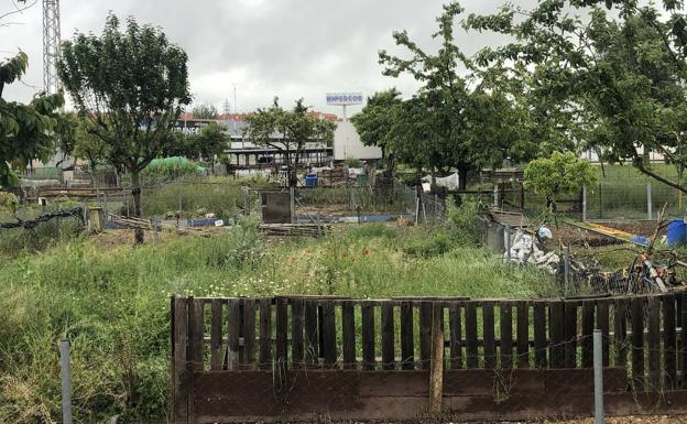 Libertad horaria para acceder a los huertos urbanos de Arroyo