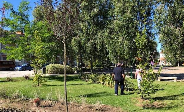 El Ayuntamiento de Arroyo desarrolla un programa de formación y empleo para desempleados