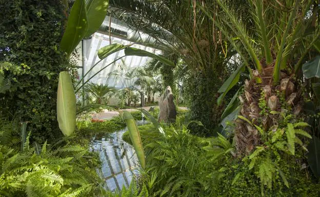 El Jardín Botánico de Arroyo reabre sus puertas tras la pandemia