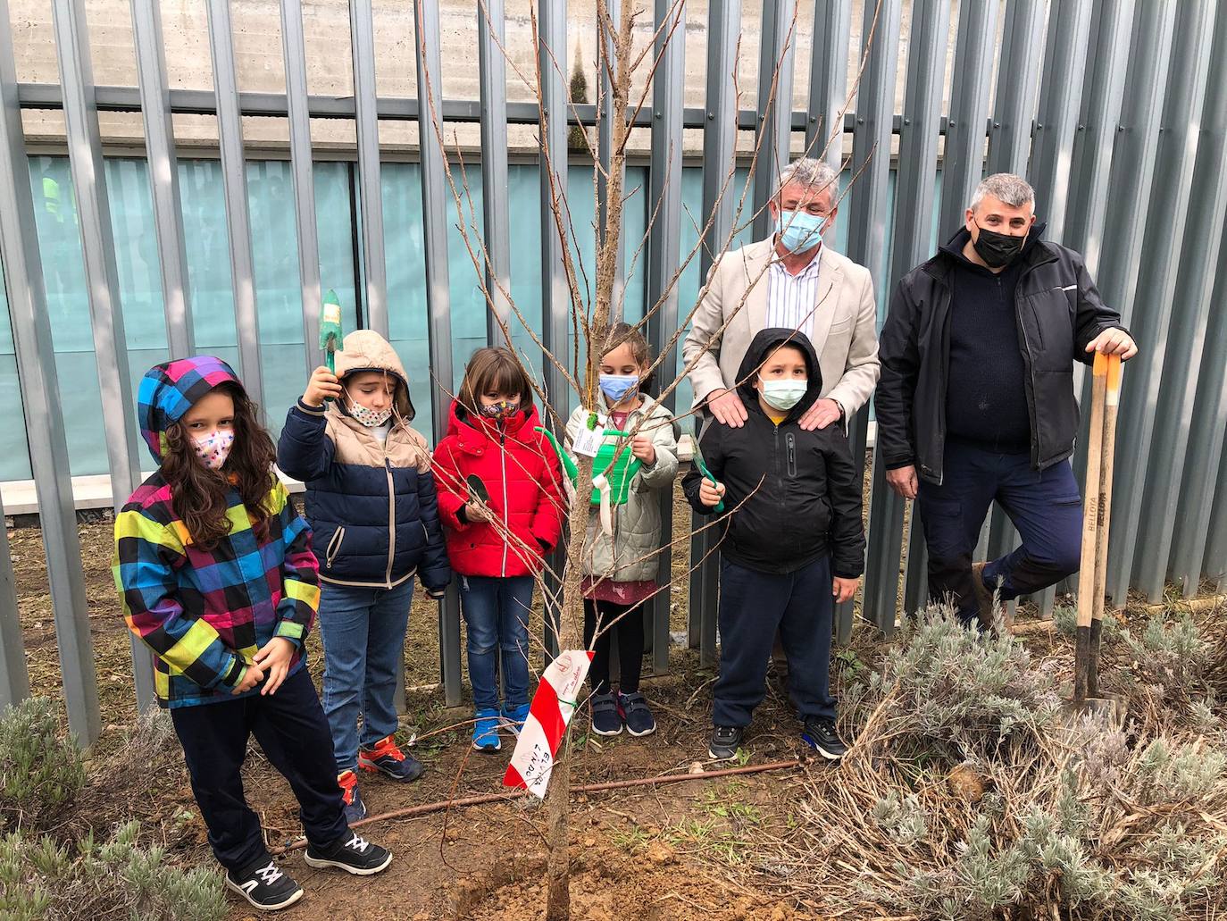 Arroyo celebra el Día del Árbol en los centros escolares