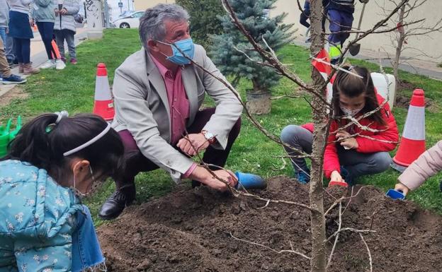 El colegio Raimundo de Blas celebra el Día del Árbol