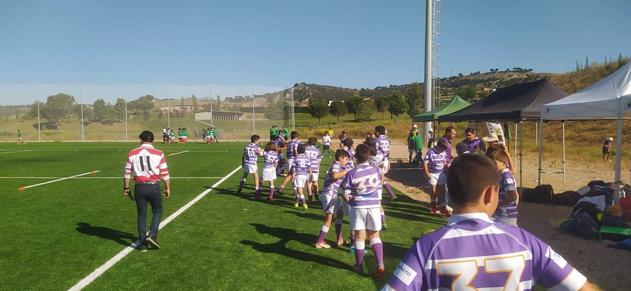 Festival Nacional de Rugby Base M12