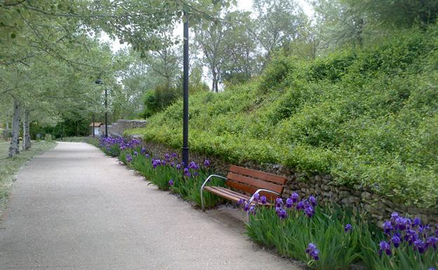 Los socialistas arroyanos solicitan una estación medidora de la calidad del aire