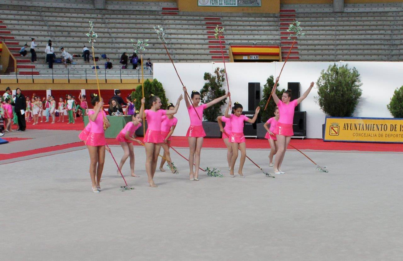 Campeonato Escolar de Gimnasia Rítmica de Castilla y León 2014 celebrado en Íscar (1/3)