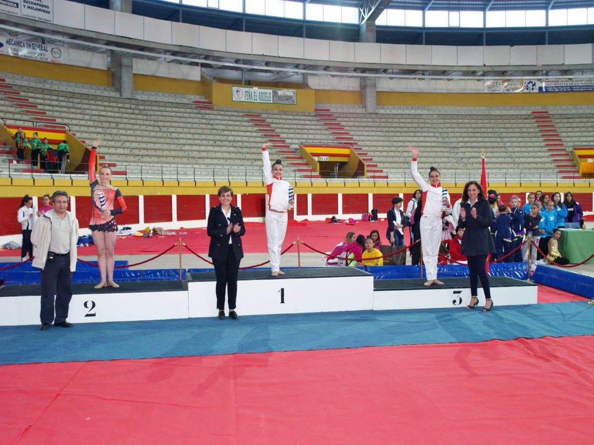 Campeonato Escolar de Gimnasia Rítmica de Castilla y León 2014 celebrado en Íscar (3/3)