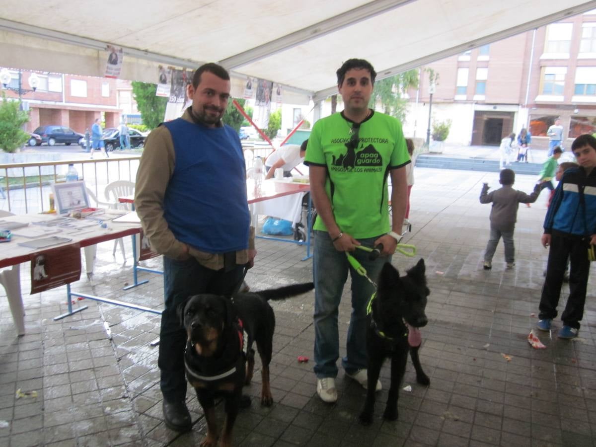 Jornada de convivencia organizada por la Asociación Protectora Amigos de los Animales de Guardo (Palencia)