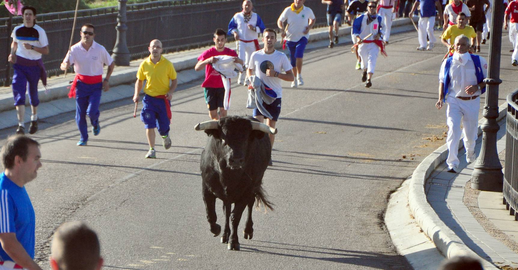 Segundo encierro de las fiestas de Tordesillas (Valladolid)