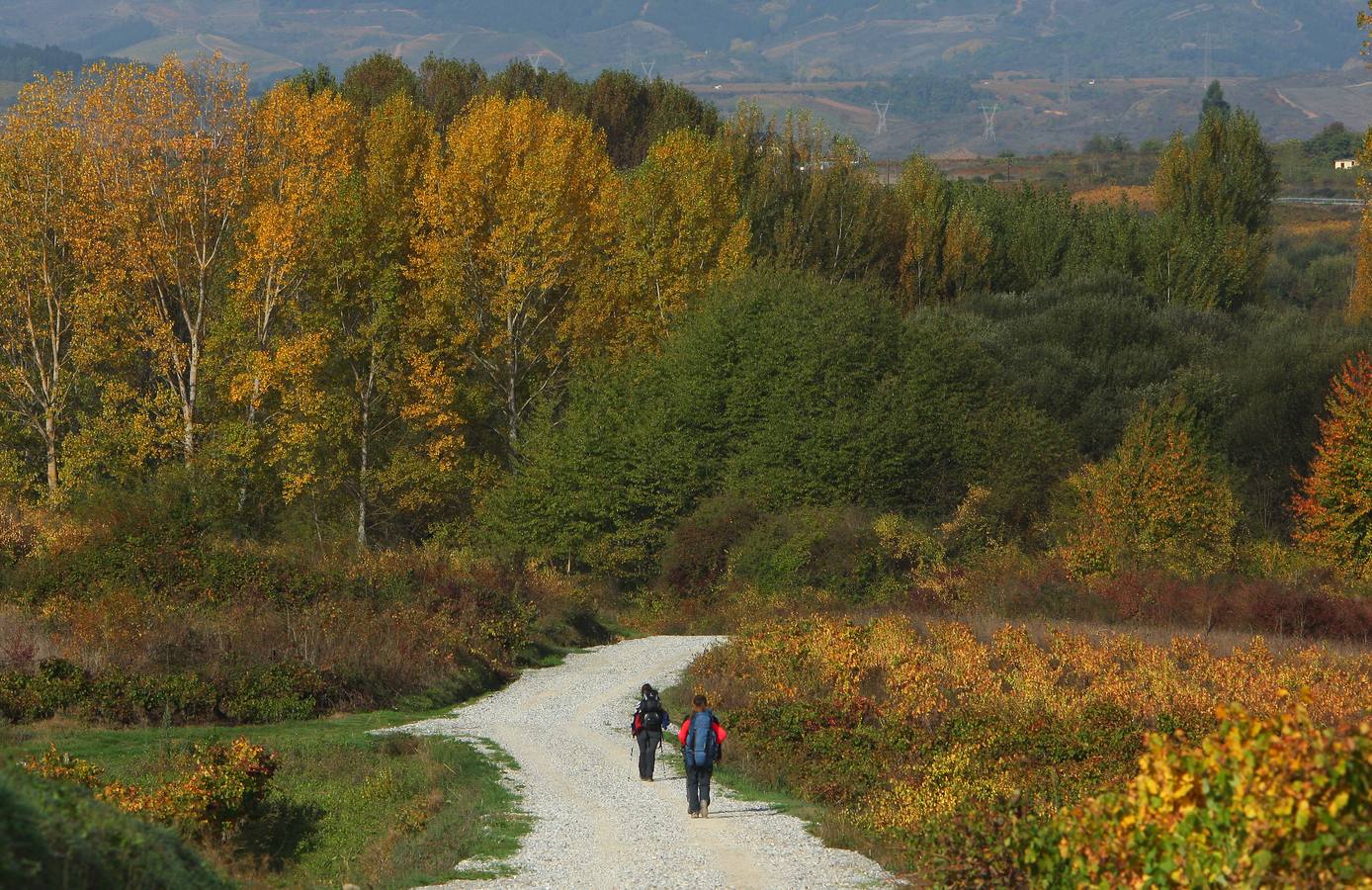 Otoño en El Bierzo (León)