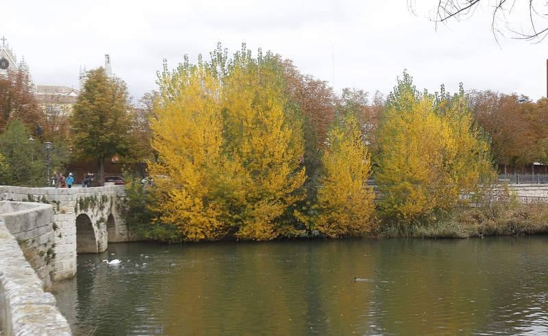 El otoño se instala en Palencia