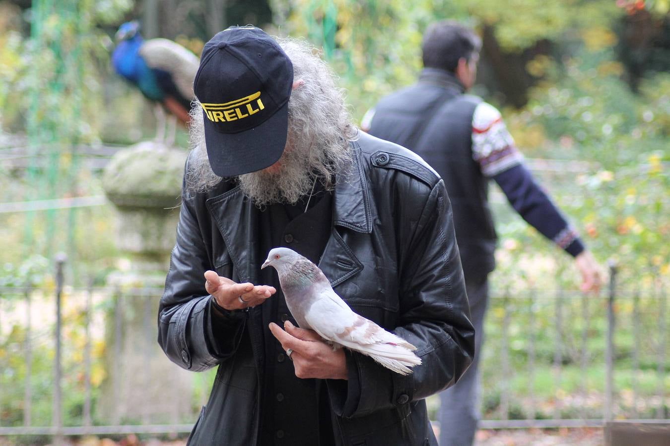 Otoño en el Campo Grande de Valladolid