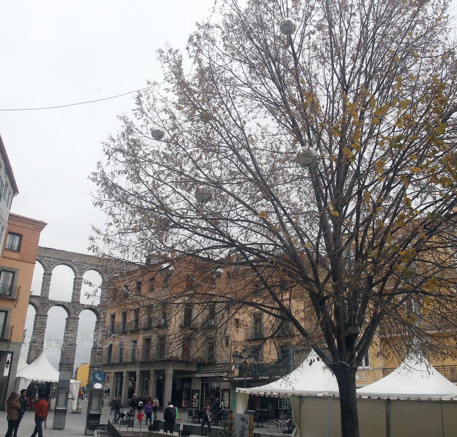 Acto del Día Internacional de las Personas con Discapacidad celebrado en Segovia