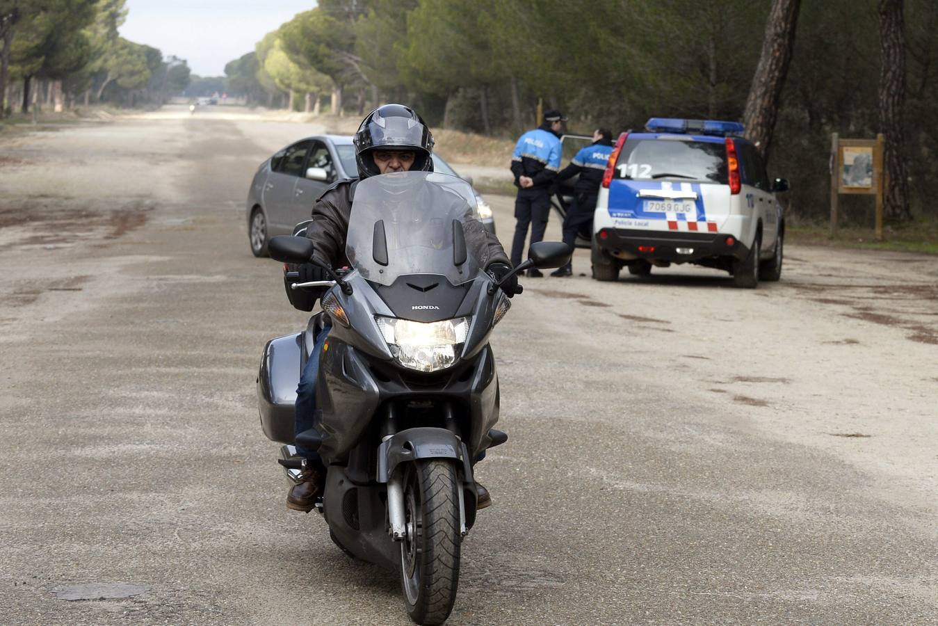 Vigilancia en el Pinar de Antequera ante la llegada de 'pingüinos'